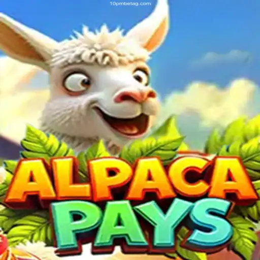 Discover the Exciting World of AlpacaPays at 10 PMBET Cassino Online